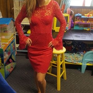 BCBG dress cocktail lace